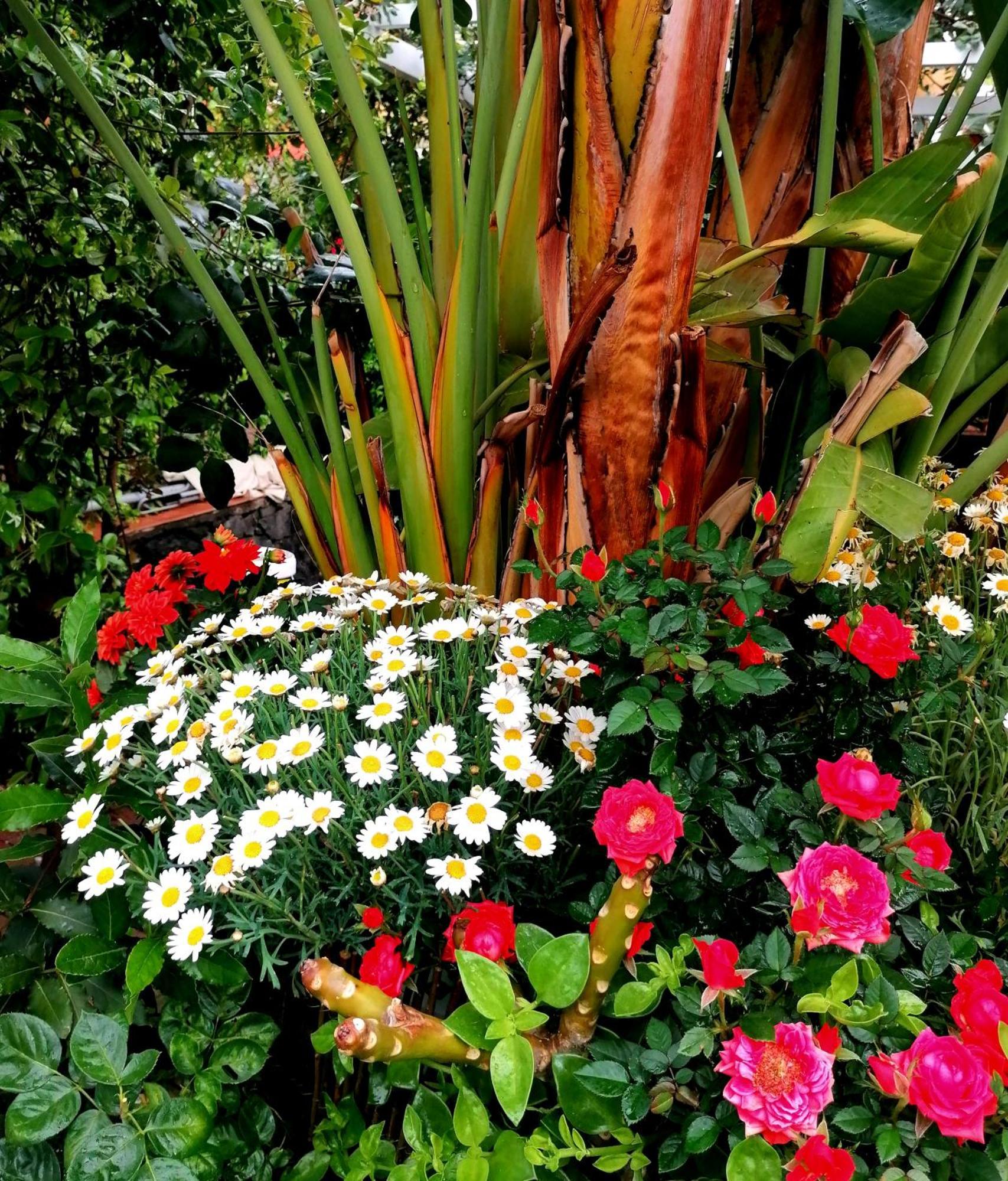 La Foresteria Garden Boutique B&B คาตาเนีย ภายนอก รูปภาพ