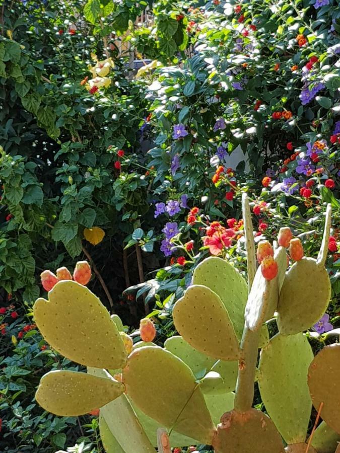 La Foresteria Garden Boutique B&B คาตาเนีย ภายนอก รูปภาพ